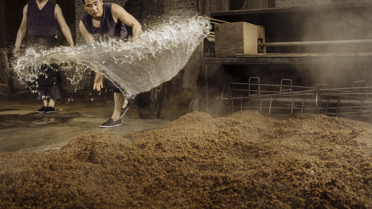 BAIJU RISING: China’s Ancient Spirit Finds a New Home in Australia